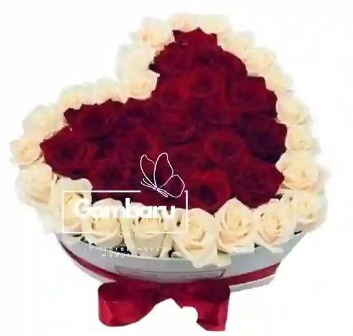 Rosas Blancas Y Rojas Amor