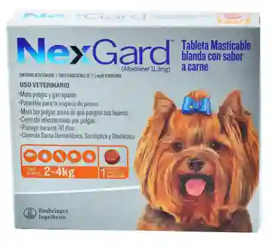 Nexgard 2-4 Kilos