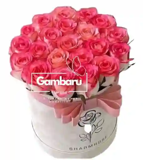 Rosas Rosdas En Cilindro
