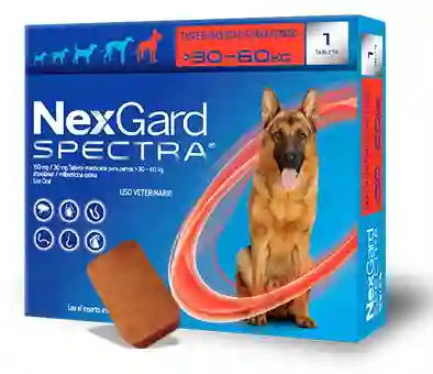 Nexgard Spectra 30- 60 Kg