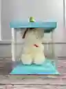 Oso Teddy De Graduación En Caja De Acetato