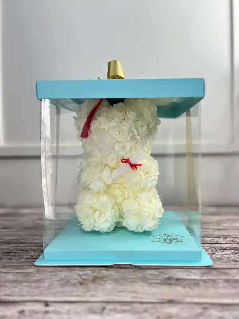 Oso Teddy De Graduación En Caja De Acetato