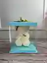Oso Teddy De Graduación En Caja De Acetato