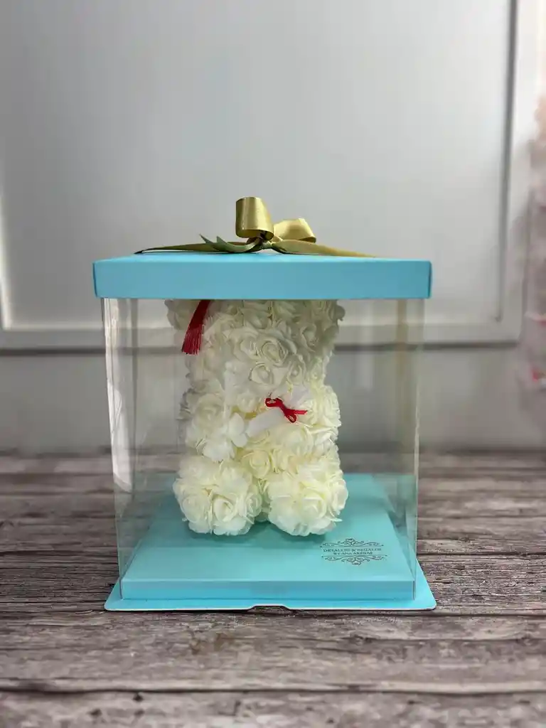 Oso Teddy De Graduación En Caja De Acetato