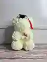 Oso Teddy De Graduación