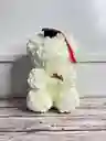 Oso Teddy De Graduación