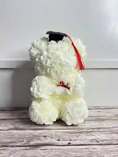 Oso Teddy De Graduación