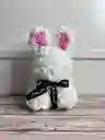 Conejo Teddy De Flores