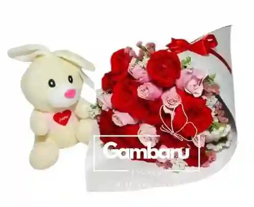 Rosas Bicolor Bunny