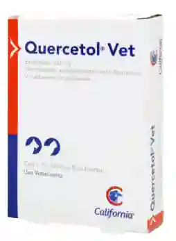 Quercetol-vet X 10 Tabletas 100mg