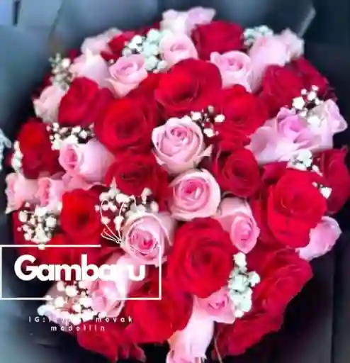 Rosas Rosadas Y Rojas X48