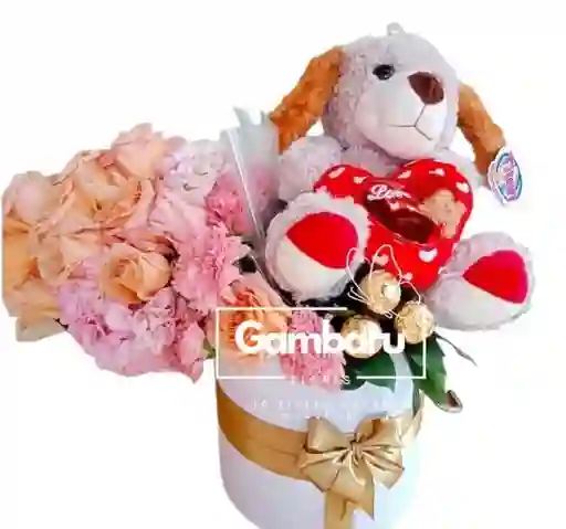 Flores, Rosas, Peluche Y Ferrero