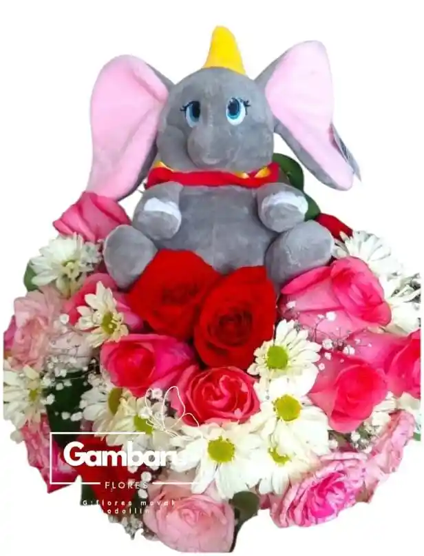 Flores Rosas-margaritas, Dumbo