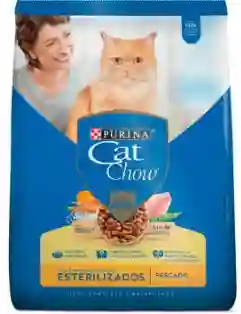 Cat Chaw Esterelizados