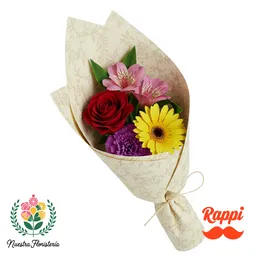 Mini Jardín Multicolo