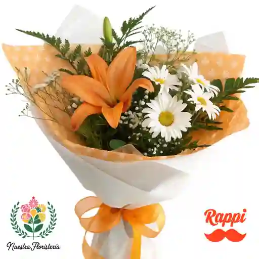 Blanco Y Naranja Alegre
