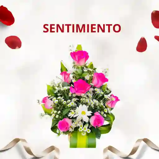 Sentimiento