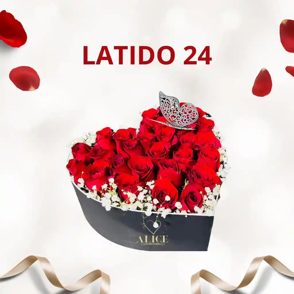 Latido 24