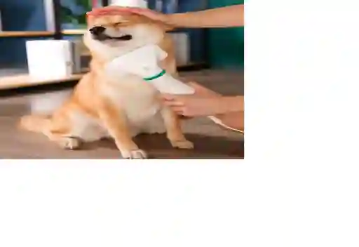 Cepillo Para Perro 2in1