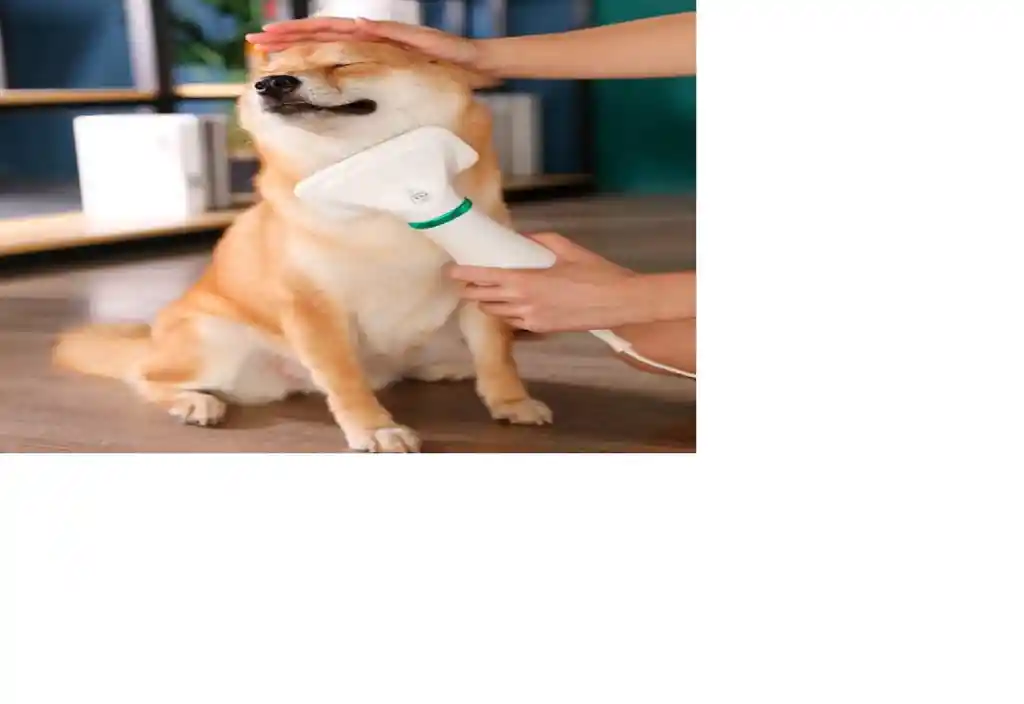 Cepillo Para Perro 2in1