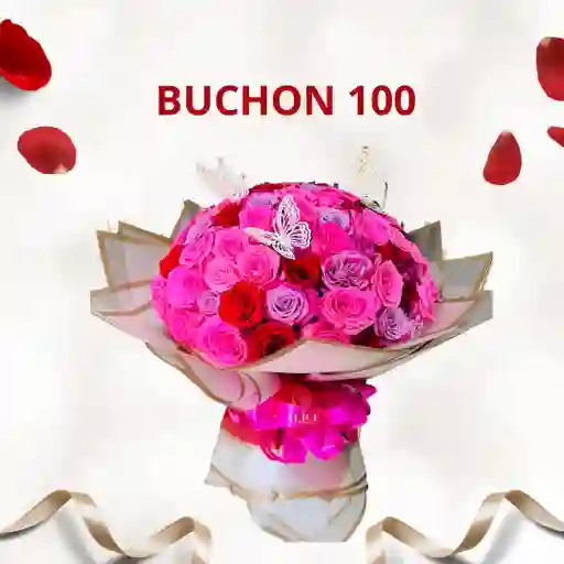 Buchon 100