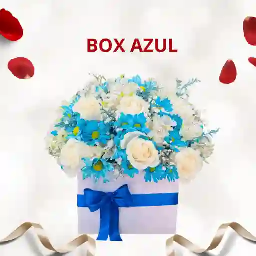Box Azul