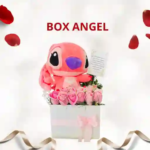Box Angel