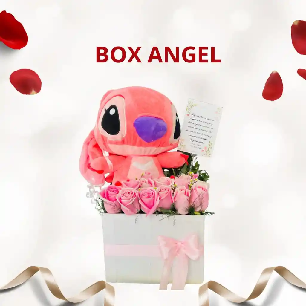 Box Angel