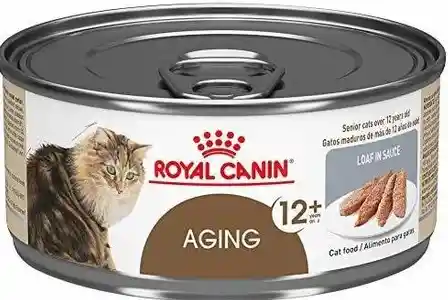 Royal Canin Aging Alimento Humedo Para Gatos X 85gm