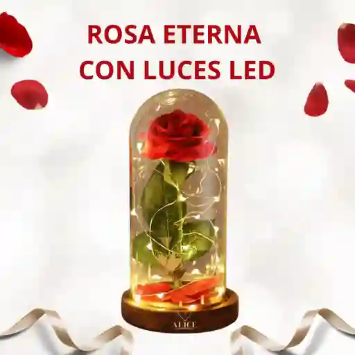 Rosa Eterna Luz Led