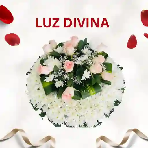 Luz Divina