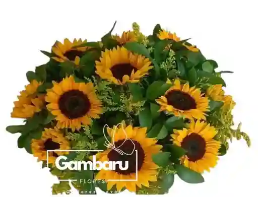 Flores Girasoles En Arreglo