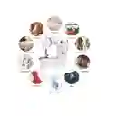 Maquina De Coser Portátil Mini Sewing Machine 4in1 Eléctrica