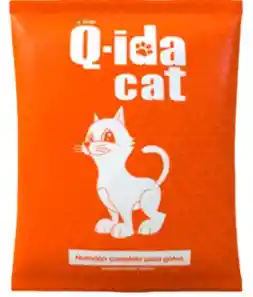 Q-ida Cat