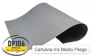 Cartulina Iris Gris X 2 Medio Pliego