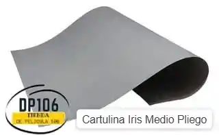 Cartulina Iris Gris X 2 Medio Pliego