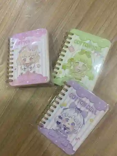Mini Libreta