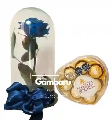 Flor Rosas Preservada Azul Y Ferrero Rocher