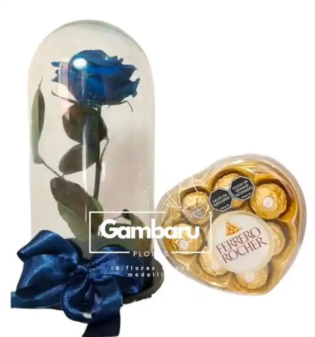 Flor Rosas Preservada Azul Y Ferrero Rocher