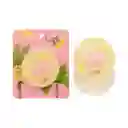 Polvos Sueltos Banana Bbs2169