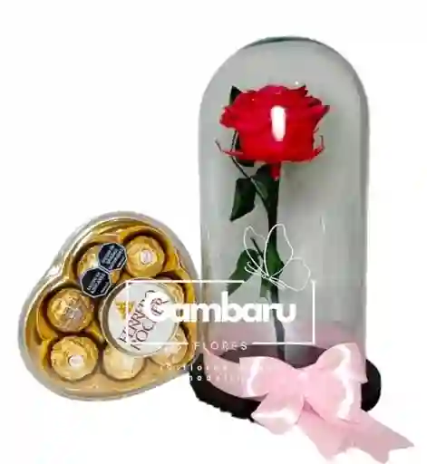 Rosa Preservada Rosada Y Ferrero Rocher