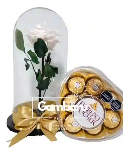 Rosa Preservada Blanca Y Ferrero Rocher
