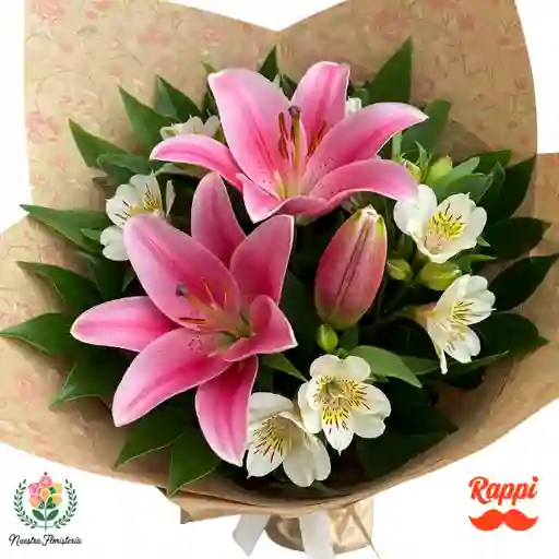 Toque Silvestre Rosado