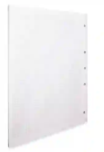 Hoja De Repuesto Carta, Cuadriculada, Para Pasta Argolla, Legajadores, Carpetas, Folder