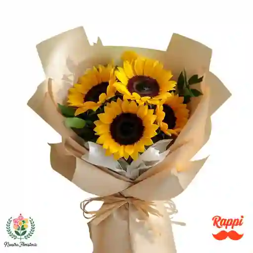 Toque De Sol