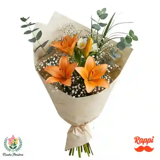 Elegancia Naranja