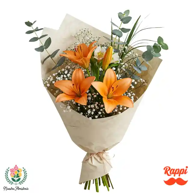Elegancia Naranja