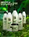 Tratamiento Rech Intensivo Vegan Keratin Collagen Salon In Recamier X500 Ml