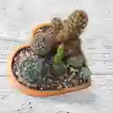 Terrario Corazón Cactus Matera De Barro