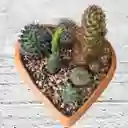 Terrario Corazón Cactus Matera De Barro